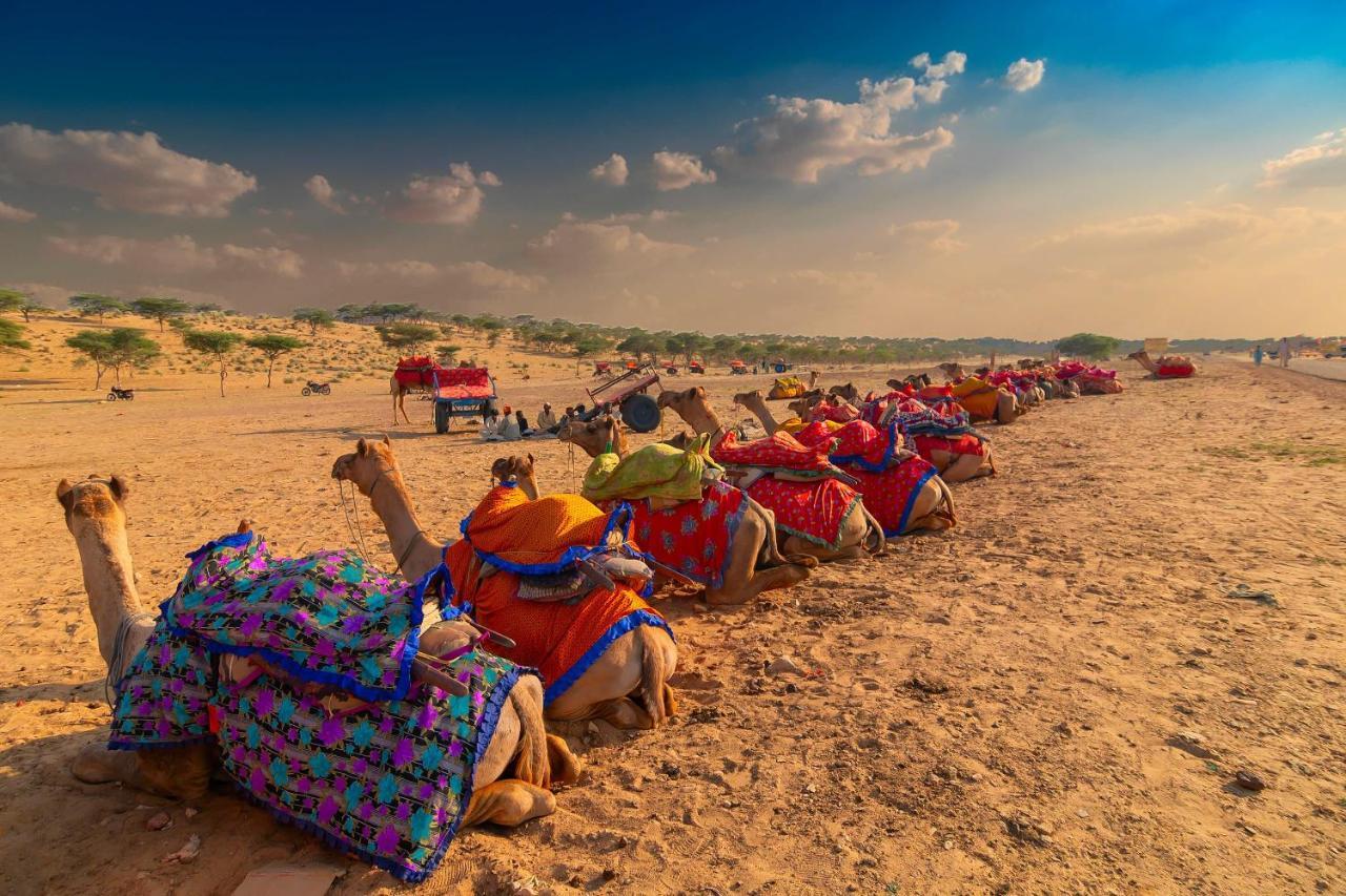 Hotel Galaxy Inn Pushkar Eksteriør bilde