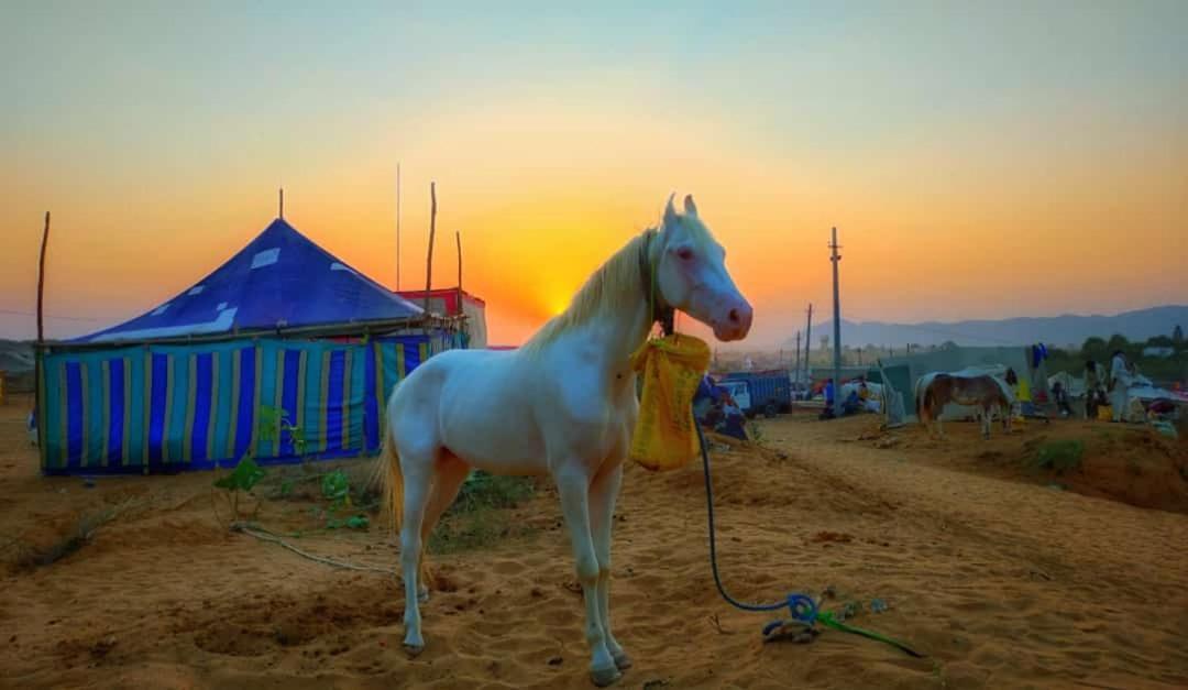 Hotel Galaxy Inn Pushkar Eksteriør bilde